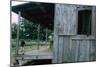 Young Boy on the Porch and a Second Boy Looking Out of Window, on Edisto Island, South Carolina-Walter Sanders-Mounted Photographic Print