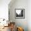 Young Boy Pitching Ball on a City Street-Cornell Capa-Framed Photographic Print displayed on a wall