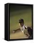 Young Boy Pitching During a Little League Baseball Games-null-Framed Stretched Canvas