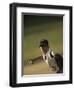 Young Boy Pitching During a Little League Baseball Games-null-Framed Photographic Print