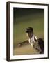 Young Boy Pitching During a Little League Baseball Games-null-Framed Photographic Print