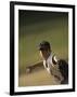 Young Boy Pitching During a Little League Baseball Games-null-Framed Photographic Print