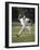 Young Boy Pitching During a Little League Baseball Games-null-Framed Photographic Print