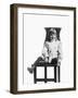 Young Boy Portait, Ca. 1912-null-Framed Photographic Print