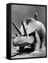 Young Boy Standing Atop Large Statue of Dinosaur in "Dinosaur Park" Tourist Attraction-Alfred Eisenstaedt-Framed Stretched Canvas