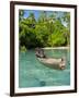 Young Boys Fishing in the Marovo Lagoon, Solomon Islands, Pacific-Michael Runkel-Framed Photographic Print