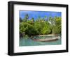 Young Boys Fishing in the Marovo Lagoon, Solomon Islands, Pacific-Michael Runkel-Framed Photographic Print