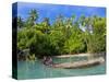 Young Boys Fishing in the Marovo Lagoon, Solomon Islands, Pacific-Michael Runkel-Stretched Canvas