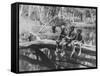 Young Boys Sitting on a Fallen Tree Spanning Small Waterhole While One Uses Homemade Fishing Pole-null-Framed Stretched Canvas