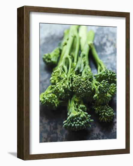 Young Broccoli-David Cleveland-Framed Photographic Print