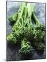 Young Broccoli-David Cleveland-Mounted Photographic Print