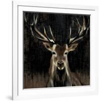 Young Buck-Liz Jardine-Framed Art Print