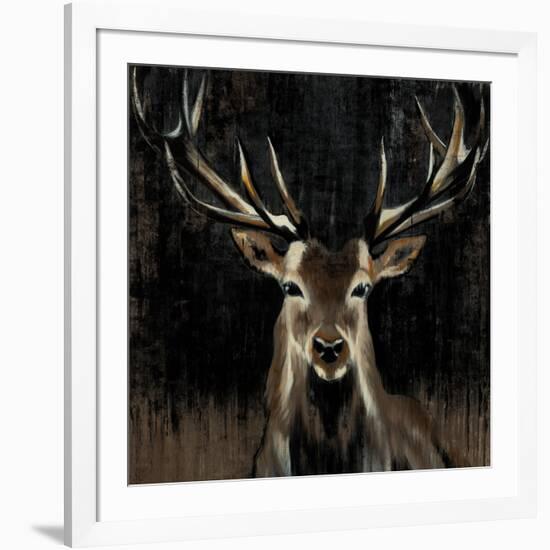 Young Buck-Liz Jardine-Framed Art Print