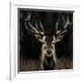 Young Buck-Liz Jardine-Framed Art Print