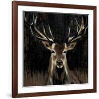 Young Buck-Liz Jardine-Framed Art Print