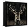 Young Buck-Liz Jardine-Framed Stretched Canvas