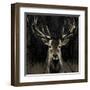 Young Buck-Liz Jardine-Framed Art Print