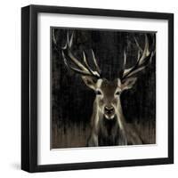 Young Buck-Liz Jardine-Framed Art Print