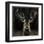 Young Buck-Liz Jardine-Framed Art Print