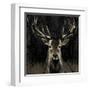 Young Buck-Liz Jardine-Framed Art Print