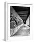 Young Buddhist and Boy on Inner Courtyard Near Buddhist Shrine-Dmitri Kessel-Framed Photographic Print