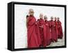 Young Buddhist Monks, Karchu Dratsang Monastery, Bumthang, Bhutan-Angelo Cavalli-Framed Stretched Canvas