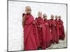 Young Buddhist Monks, Karchu Dratsang Monastery, Bumthang, Bhutan-Angelo Cavalli-Mounted Photographic Print