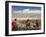 Young Buddhist Monks, Ladakh, Indian Himalaya, India-Jochen Schlenker-Framed Photographic Print