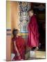 Young Buddhist Monks, Paro Dzong, Paro, Bhutan, Asia-Angelo Cavalli-Mounted Photographic Print