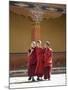 Young Buddhist Monks, Paro Dzong, Paro, Bhutan, Asia-Angelo Cavalli-Mounted Photographic Print