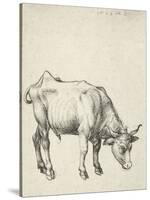 Young Bull, C.1493-Albrecht Dürer-Stretched Canvas