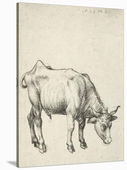 Young Bull, C.1493-Albrecht Dürer-Stretched Canvas