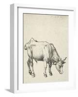 Young Bull, C.1493-Albrecht Dürer-Framed Giclee Print