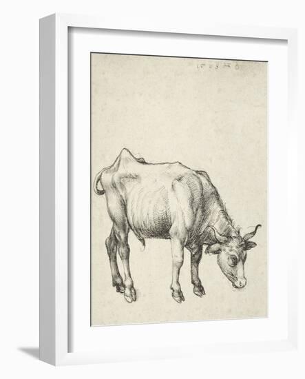Young Bull, C.1493-Albrecht Dürer-Framed Giclee Print