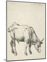 Young Bull, C.1493-Albrecht Dürer-Mounted Giclee Print