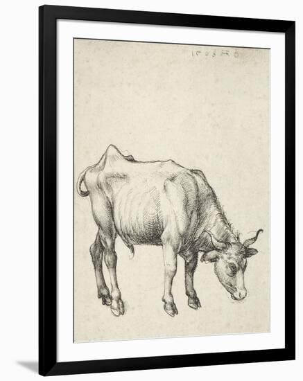 Young Bull, C.1493-Albrecht Dürer-Framed Giclee Print