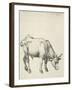 Young Bull, C.1493-Albrecht Dürer-Framed Giclee Print