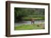 Young Bull Elk in the National Bison Range, Montana-James White-Framed Photographic Print