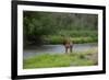 Young Bull Elk in the National Bison Range, Montana-James White-Framed Photographic Print