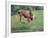 Young Bull in a Meadow, 1881-Edouard Manet-Framed Giclee Print