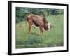 Young Bull in a Meadow, 1881-Edouard Manet-Framed Giclee Print