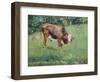 Young Bull in a Meadow, 1881-Edouard Manet-Framed Giclee Print