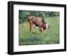 Young Bull in a Meadow, 1881-Edouard Manet-Framed Giclee Print
