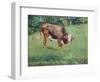 Young Bull in a Meadow, 1881-Edouard Manet-Framed Giclee Print