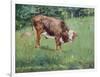 Young Bull in a Meadow, 1881-Edouard Manet-Framed Giclee Print