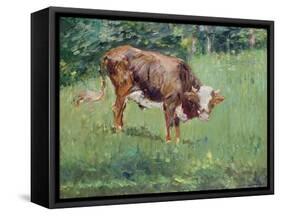 Young Bull in a Meadow, 1881-Edouard Manet-Framed Stretched Canvas