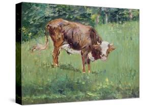 Young Bull in a Meadow, 1881-Edouard Manet-Stretched Canvas