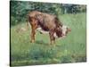 Young Bull in a Meadow, 1881-Edouard Manet-Stretched Canvas
