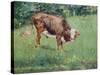 Young Bull in a Meadow, 1881-Edouard Manet-Stretched Canvas