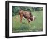 Young Bull in a Meadow, 1881-Edouard Manet-Framed Giclee Print